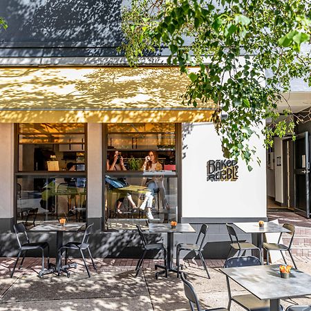 Perouse Randwick By Sydney Lodges Buitenkant foto